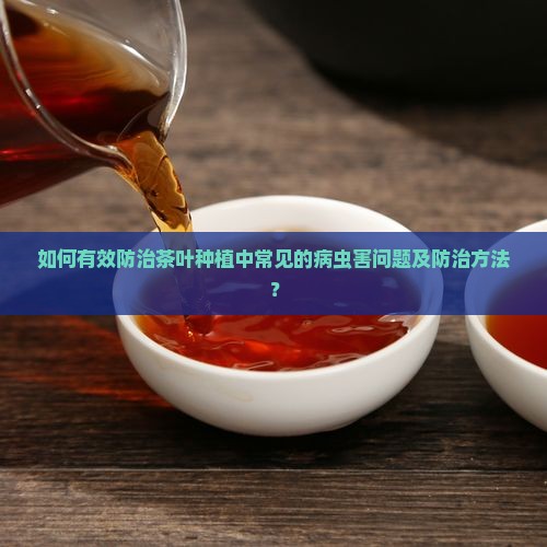 如何有效防治茶叶种植中常见的病虫害问题及防治方法？