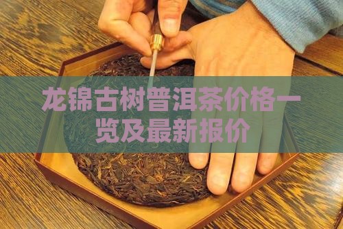 龙锦古树普洱茶价格一览及最新报价