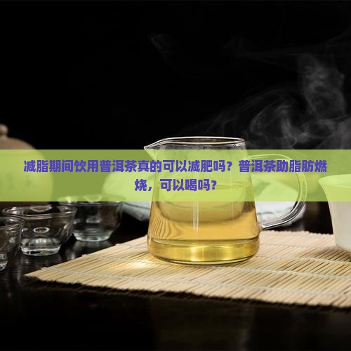 减脂期间饮用普洱茶真的可以减肥吗？普洱茶助脂肪燃烧，可以喝吗？