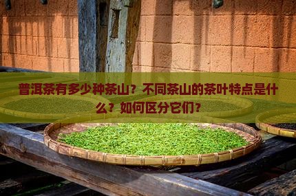 普洱茶有多少种茶山？不同茶山的茶叶特点是什么？如何区分它们？