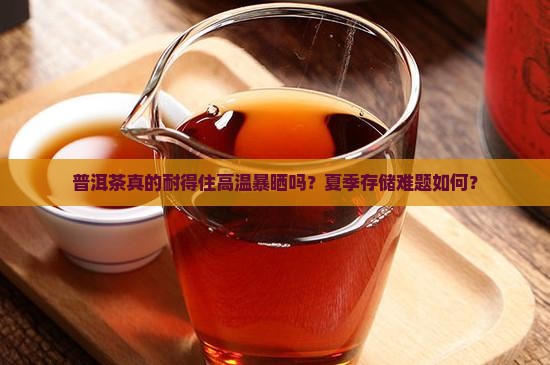 普洱茶真的耐得住高温暴晒吗？夏季存储难题如何？