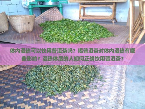 体内湿热可以饮用普洱茶吗？喝普洱茶对体内湿热有哪些影响？湿热体质的人如何正确饮用普洱茶？