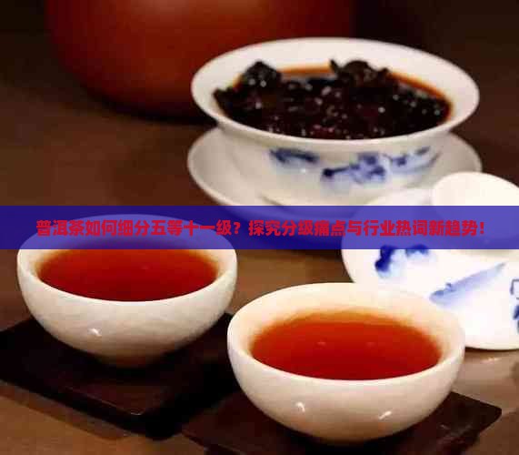 普洱茶如何细分五等十一级？探究分级痛点与行业热词新趋势！