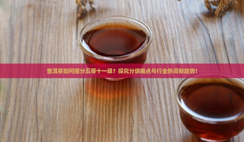 普洱茶如何细分五等十一级？探究分级痛点与行业热词新趋势！