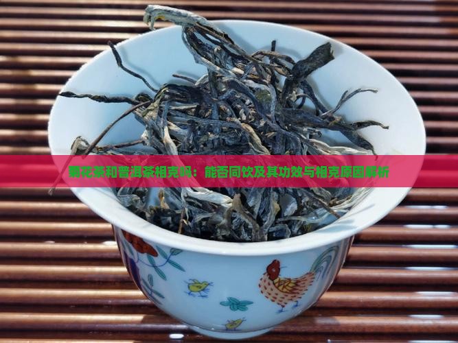 菊花茶和普洱茶相克吗：能否同饮及其功效与相克原因解析
