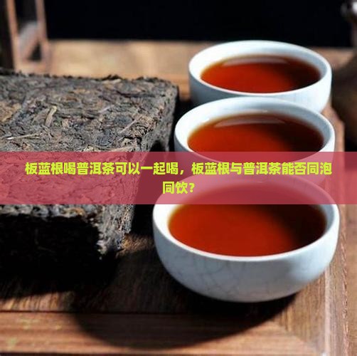板蓝根喝普洱茶可以一起喝，板蓝根与普洱茶能否同泡同饮？