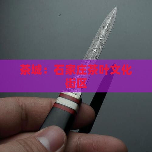 茶城：石家庄茶叶文化街区