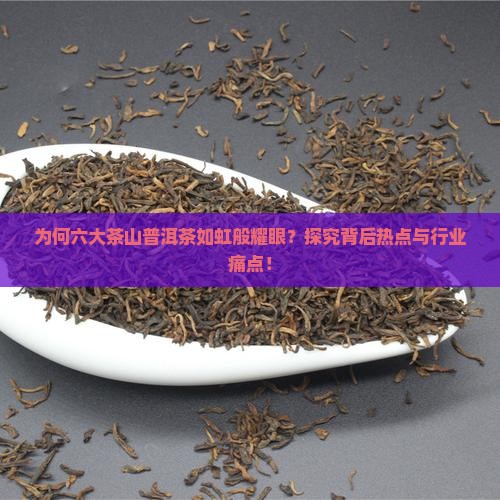 为何六大茶山普洱茶如虹般耀眼？探究背后热点与行业痛点！