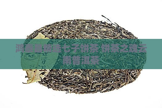 鸿泰昌精选七子饼茶 饼茶之魂云南普洱茶