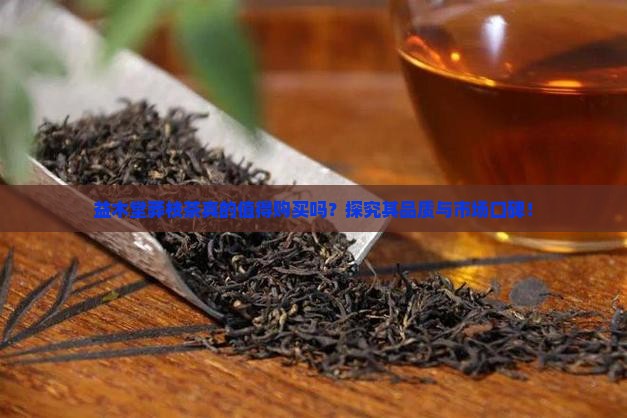 益木堂莽枝茶真的值得购买吗？探究其品质与市场口碑！