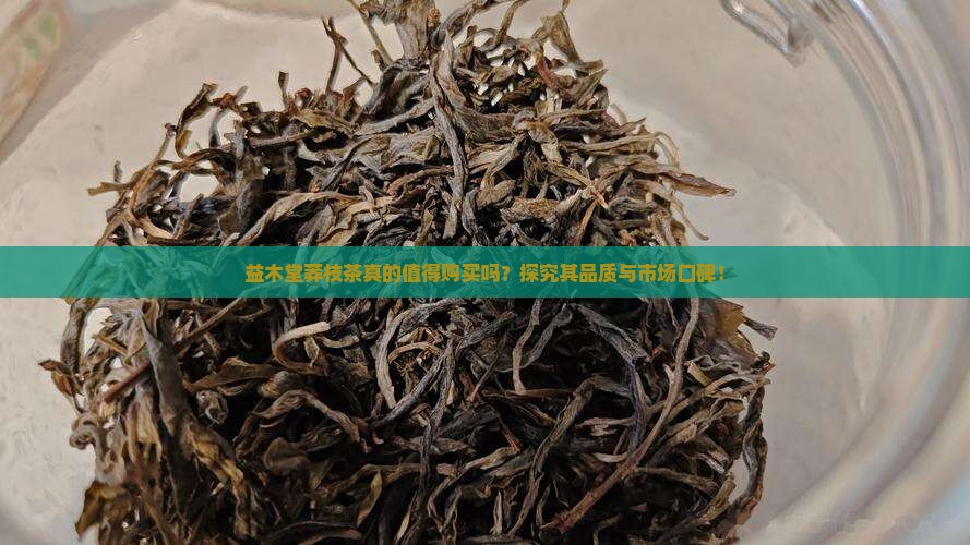 益木堂莽枝茶真的值得购买吗？探究其品质与市场口碑！