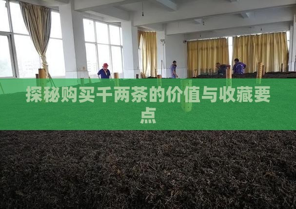 探秘购买千两茶的价值与收藏要点
