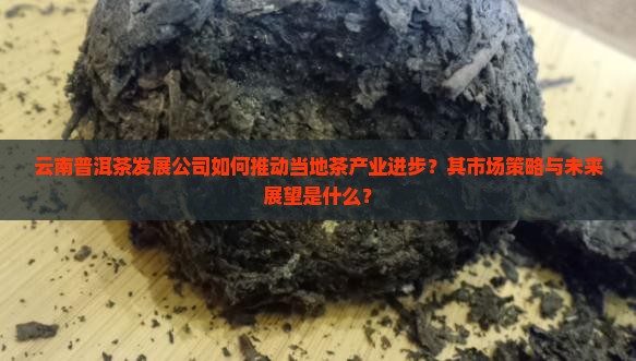 云南普洱茶发展公司如何推动当地茶产业进步？其市场策略与未来展望是什么？
