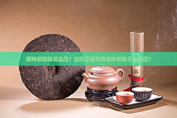 哪种茶臆降高血压？如何正确饮用茶叶有助于降血压？