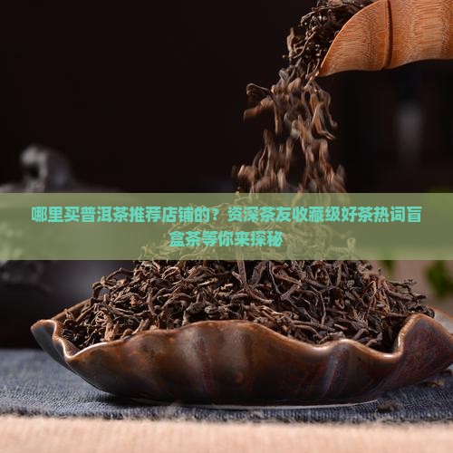 哪里买普洱茶推荐店铺的？资深茶友收藏级好茶热词盲盒茶等你来探秘