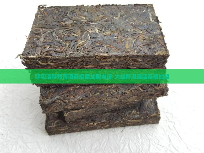 呼和浩特熟普洱茶招商加盟电话-大益普洱茶店茶楼加盟