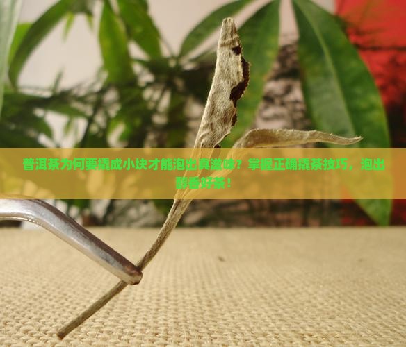 普洱茶为何要撬成小块才能泡出真滋味？掌握正确撬茶技巧，泡出醇香好茶！