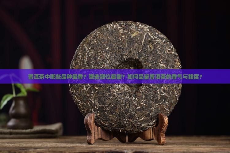 普洱茶中哪些品种最香？哪些部位最甜？如何品鉴普洱茶的香气与甜度？