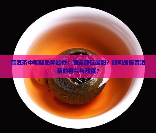 普洱茶中哪些品种最香？哪些部位最甜？如何品鉴普洱茶的香气与甜度？