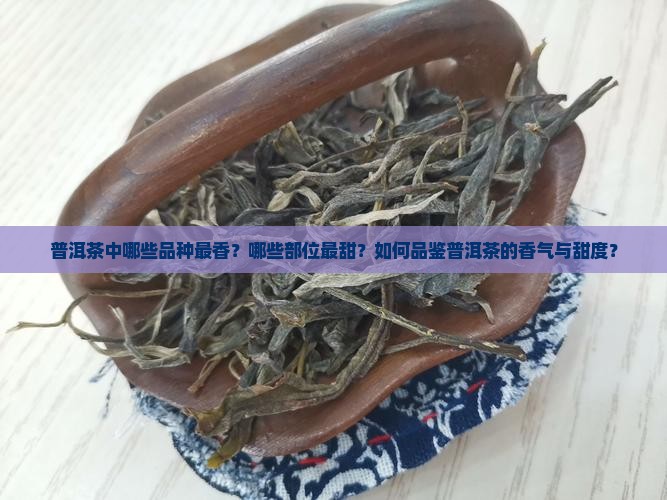 普洱茶中哪些品种最香？哪些部位最甜？如何品鉴普洱茶的香气与甜度？