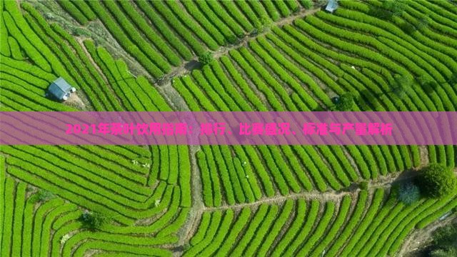 2021年茶叶饮用指南：排行、比赛盛况、标准与产量解析