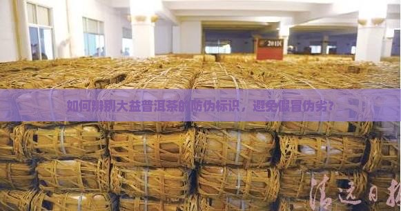 如何辨别大益普洱茶的防伪标识，避免假冒伪劣？
