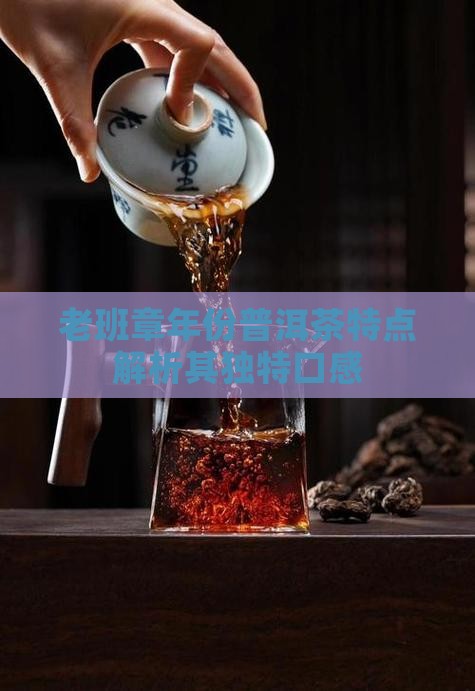 老班章年份普洱茶特点解析其独特口感