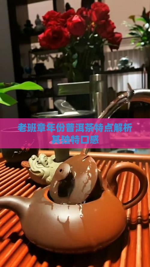 老班章年份普洱茶特点解析其独特口感