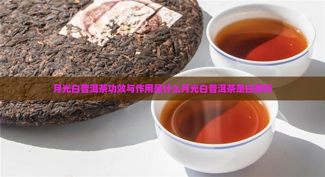 月光白普洱茶功效与作用是什么月光白普洱茶是白茶吗