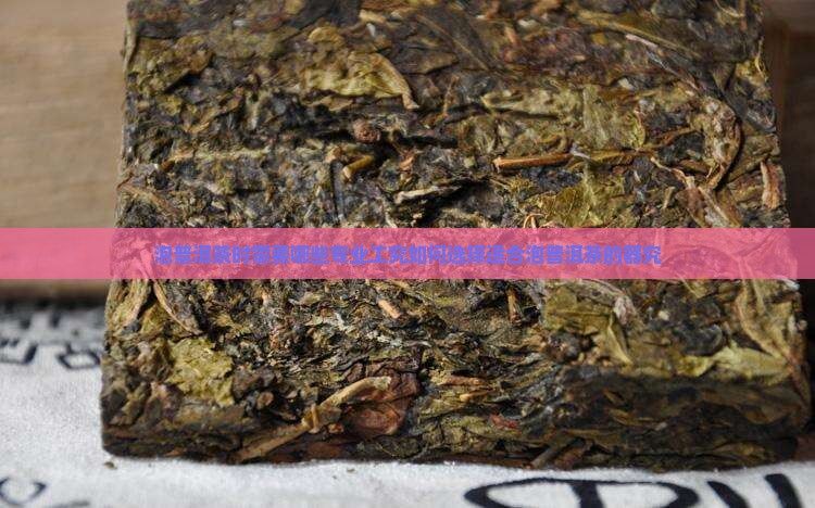 泡普洱茶时需要哪些专业工究如何选择适合泡普洱茶的器究