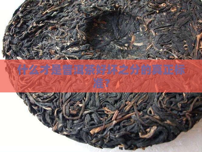 什么才是普洱茶好坏之分的真正标准？