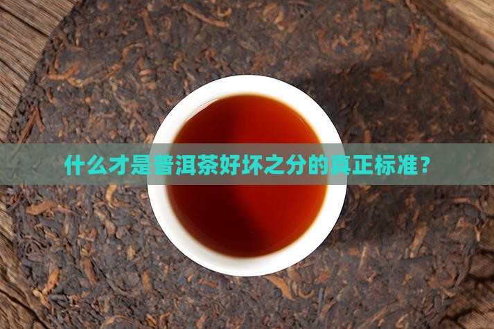 什么才是普洱茶好坏之分的真正标准？