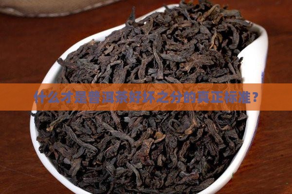 什么才是普洱茶好坏之分的真正标准？