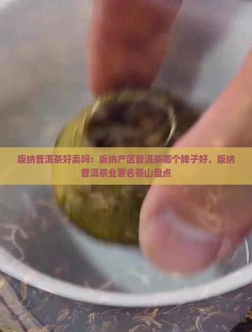 版纳普洱茶好卖吗：版纳产区普洱茶哪个牌子好，版纳普洱茶业著名茶山盘点