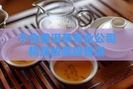 干仓普洱茶专业公司精选收藏级普洱