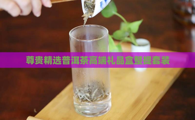 尊贵精选普洱茶高端礼品盒整提套装
