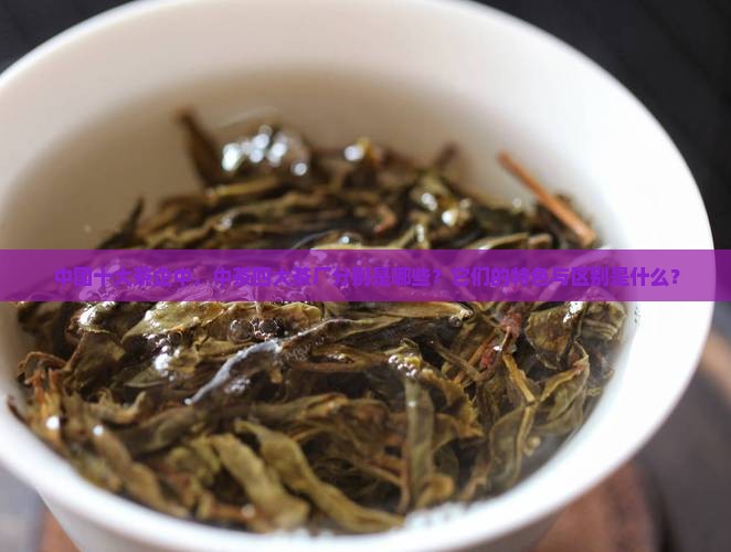中国十大茶企中，中茶四大茶厂分别是哪些？它们的特色与区别是什么？