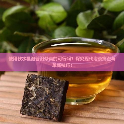 使用饮水机泡普洱茶真的可行吗？探究现代泡茶痛点与革新技巧！