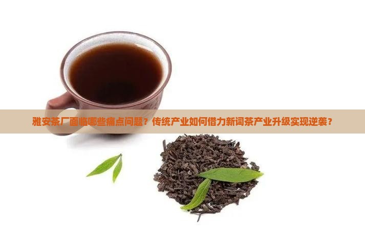 雅安茶厂面临哪些痛点问题？传统产业如何借力新词茶产业升级实现逆袭？