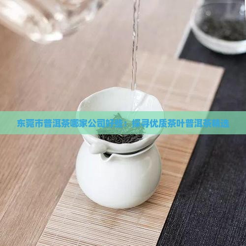 东莞市普洱茶哪家公司好些：探寻优质茶叶普洱茶精选