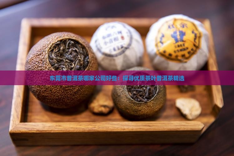东莞市普洱茶哪家公司好些：探寻优质茶叶普洱茶精选