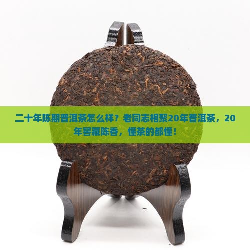 二十年陈期普洱茶怎么样？老同志相聚20年普洱茶，20年窖藏陈香，懂茶的都懂！