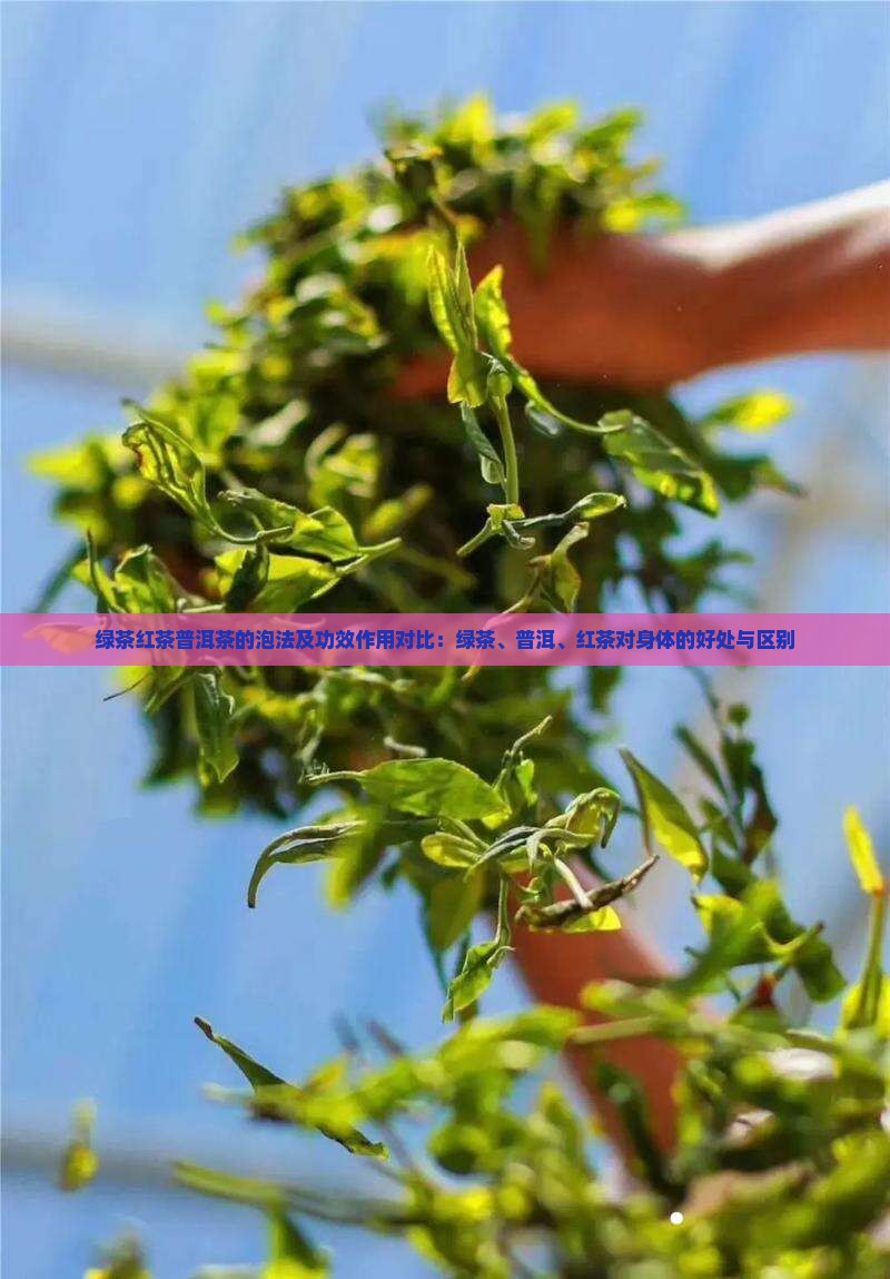 绿茶红茶普洱茶的泡法及功效作用对比：绿茶、普洱、红茶对身体的好处与区别