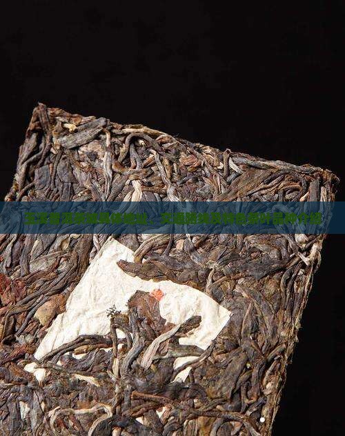 玉溪普洱茶城具体地址、交通路线及特色茶叶品种介绍