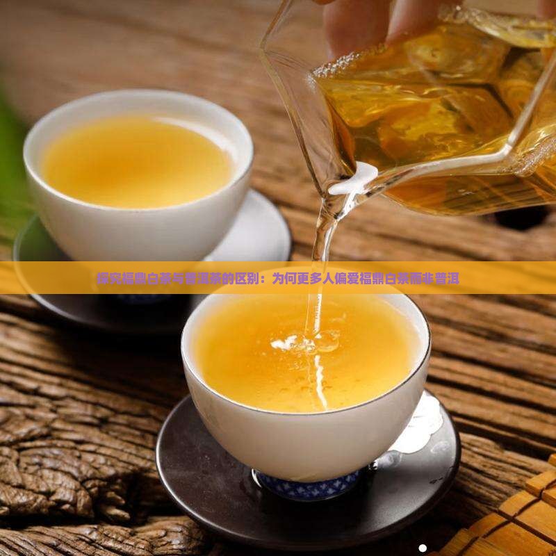 探究福鼎白茶与普洱茶的区别：为何更多人偏爱福鼎白茶而非普洱