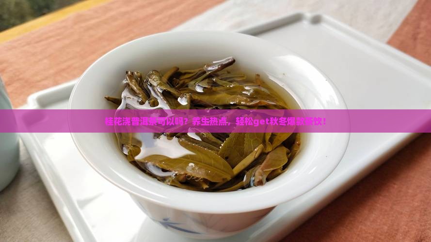 桂花浇普洱茶可以吗？养生热点，轻松get秋冬爆款茶饮！