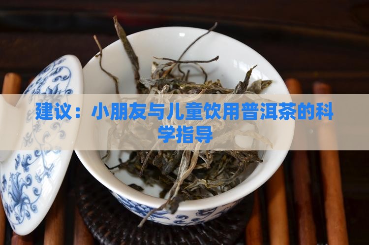 建议：小朋友与儿童饮用普洱茶的科学指导