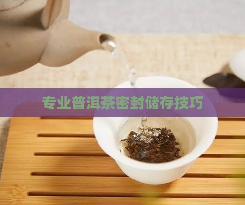 专业普洱茶密封储存技巧