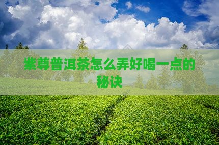 紫尊普洱茶怎么弄好喝一点的秘诀