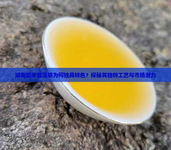 湖南韶关普洱茶为何独具特色？探秘其独特工艺与市场潜力